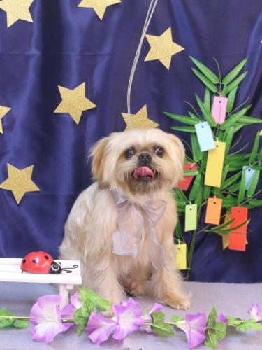 20230709ムーくん